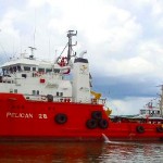 Pelican 28