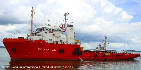 Penguin 28