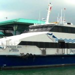 Penguin Ubin