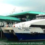 Penguin Ubin