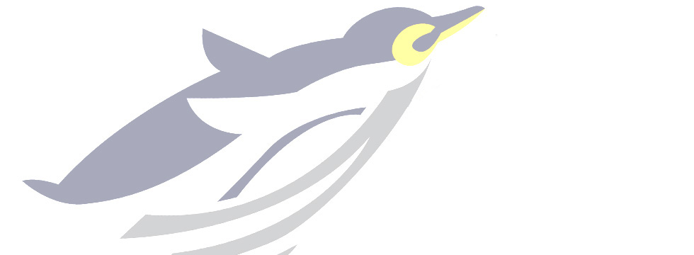 An Integrated Marine & Offshore Services Provider