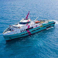 FLEX-42MX (Full Hybrid)